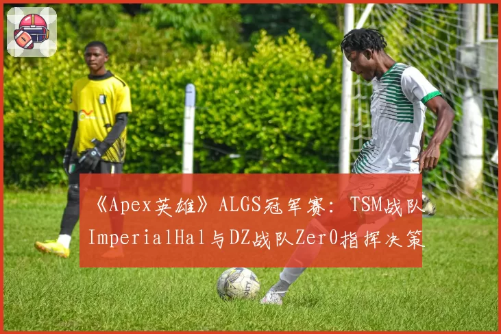 《Apex英雄》ALGS冠军赛：TSM战队ImperialHal与DZ战队Zer0指挥决策及团队生存时长分析