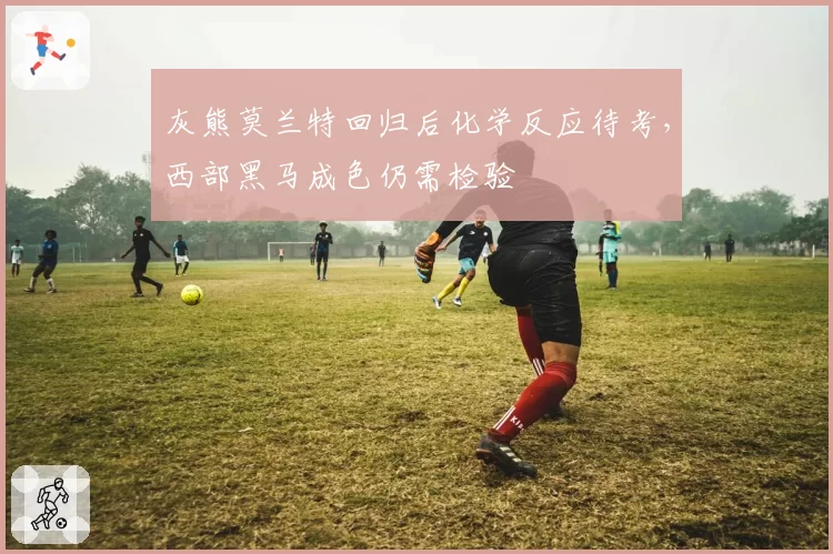 灰熊莫兰特回归后化学反应待考，西部黑马成色仍需检验