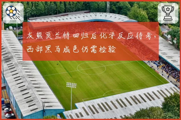 灰熊莫兰特回归后化学反应待考，西部黑马成色仍需检验