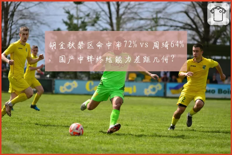 胡金秋禁区命中率72% vs 周琦64%,国产中锋终结能力差距几何?