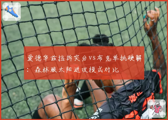 爱德华兹挡拆突分vs布克单挑硬解：森林狼太阳进攻模式对比