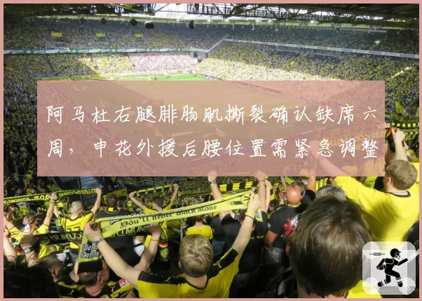 阿马杜右腿腓肠肌撕裂确认缺席六周，申花外援后腰位置需紧急调整